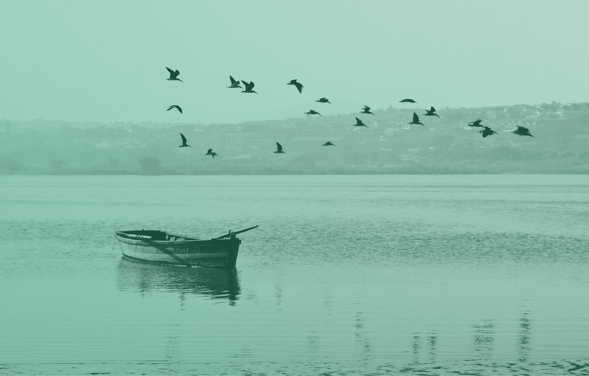 To give education the focus it deserved, we established SkillShikshya as a dedicated IT training institute. This allowed us to scale learning while continuing to align it closely with real industry needs.